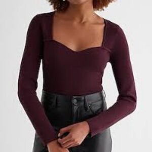 Express Burgundy V-Neck Sweater